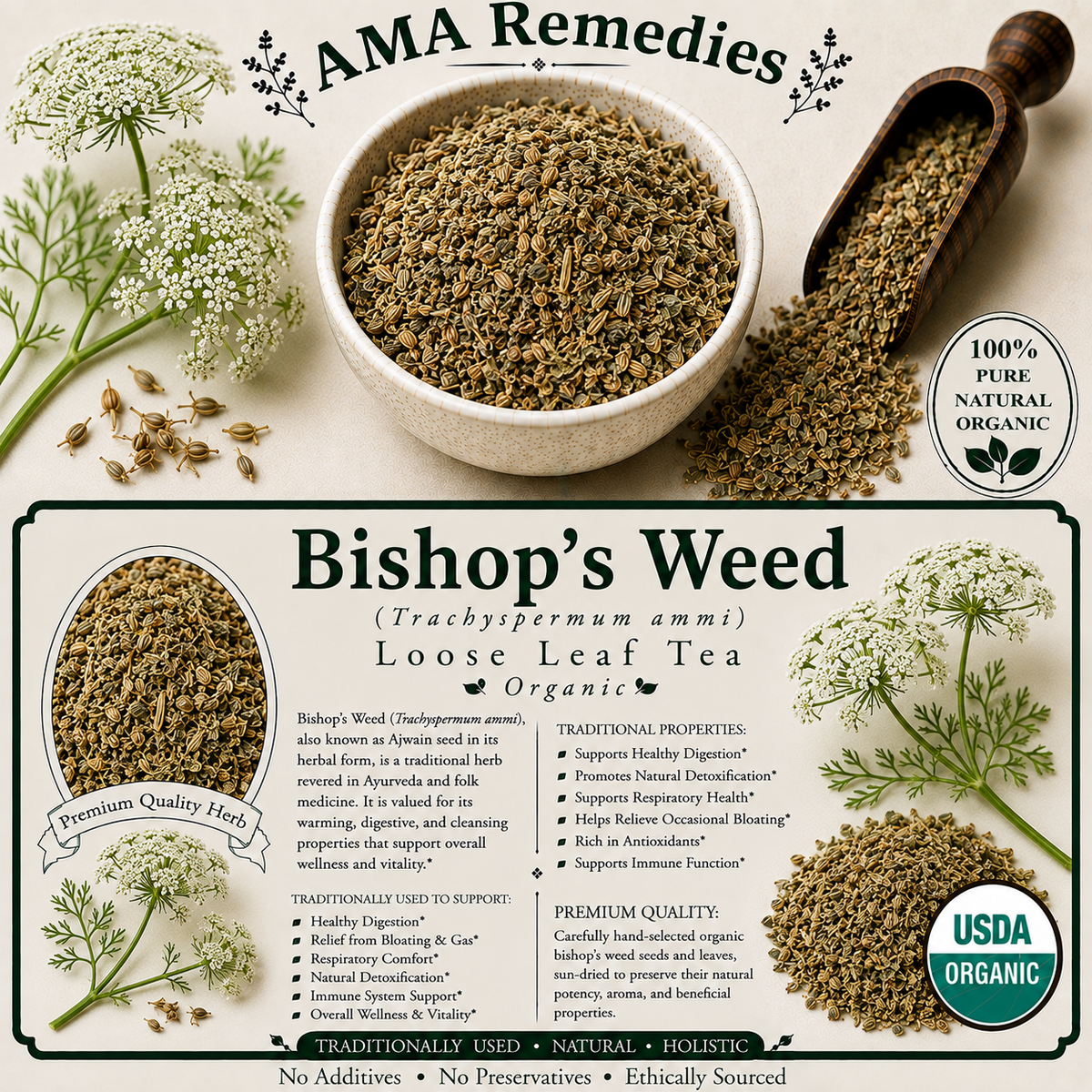 Bishop's Weed (Trachyspermum ammi) — Organic Dried Fruits (commonly called seeds)