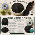 Black Cumin / Nigella (Nigella sativa)