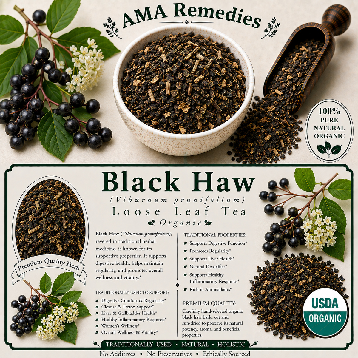 Black Haw (Viburnum prunifolium)