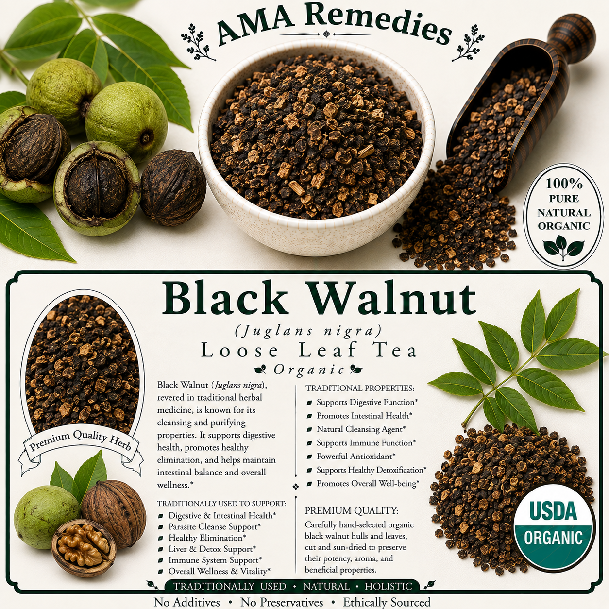 Black Walnut (Juglans nigra)