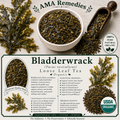 Bladderwrack (Fucus vesiculosus)