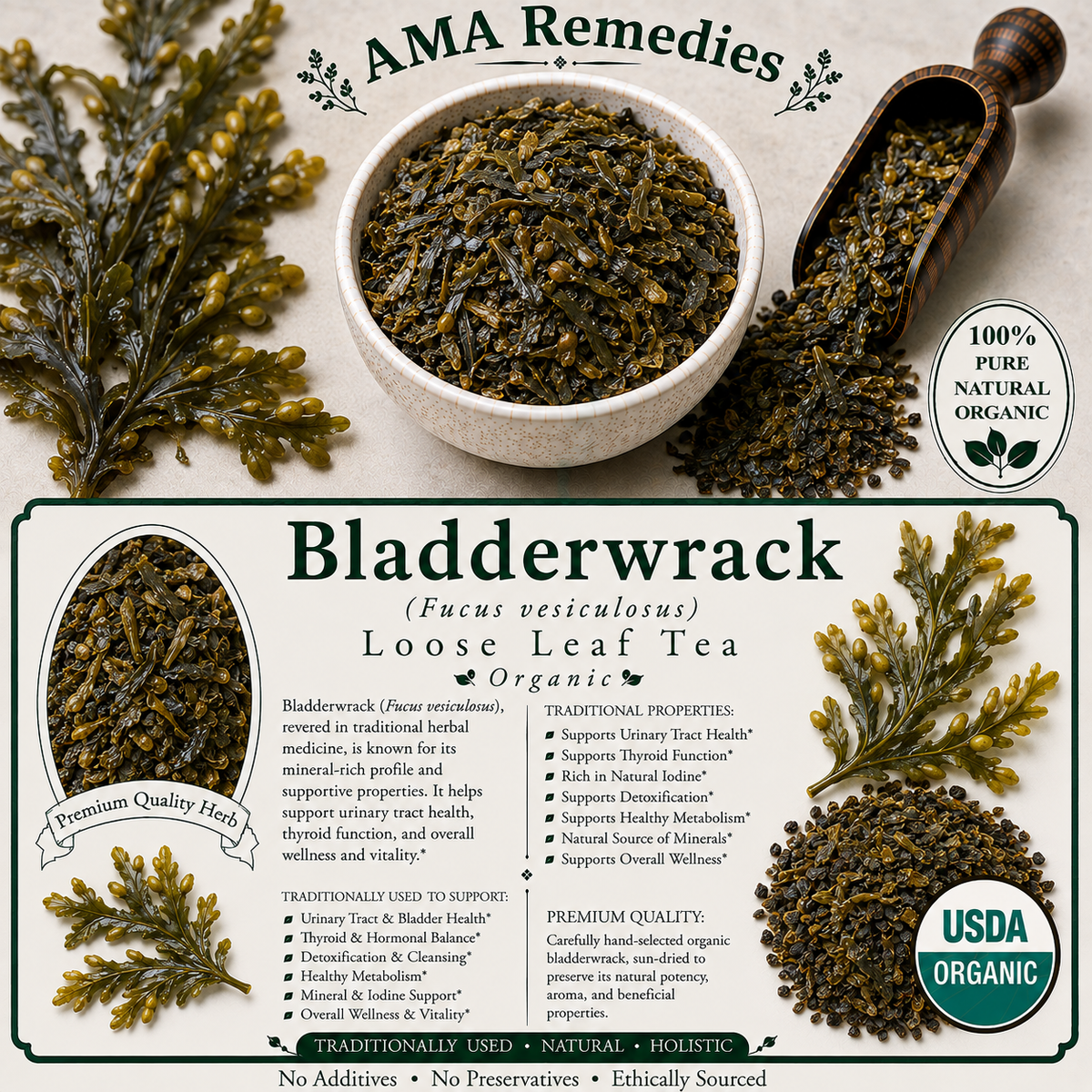 Bladderwrack (Fucus vesiculosus)