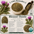 Blessed Thistle (Cnicus benedictus)