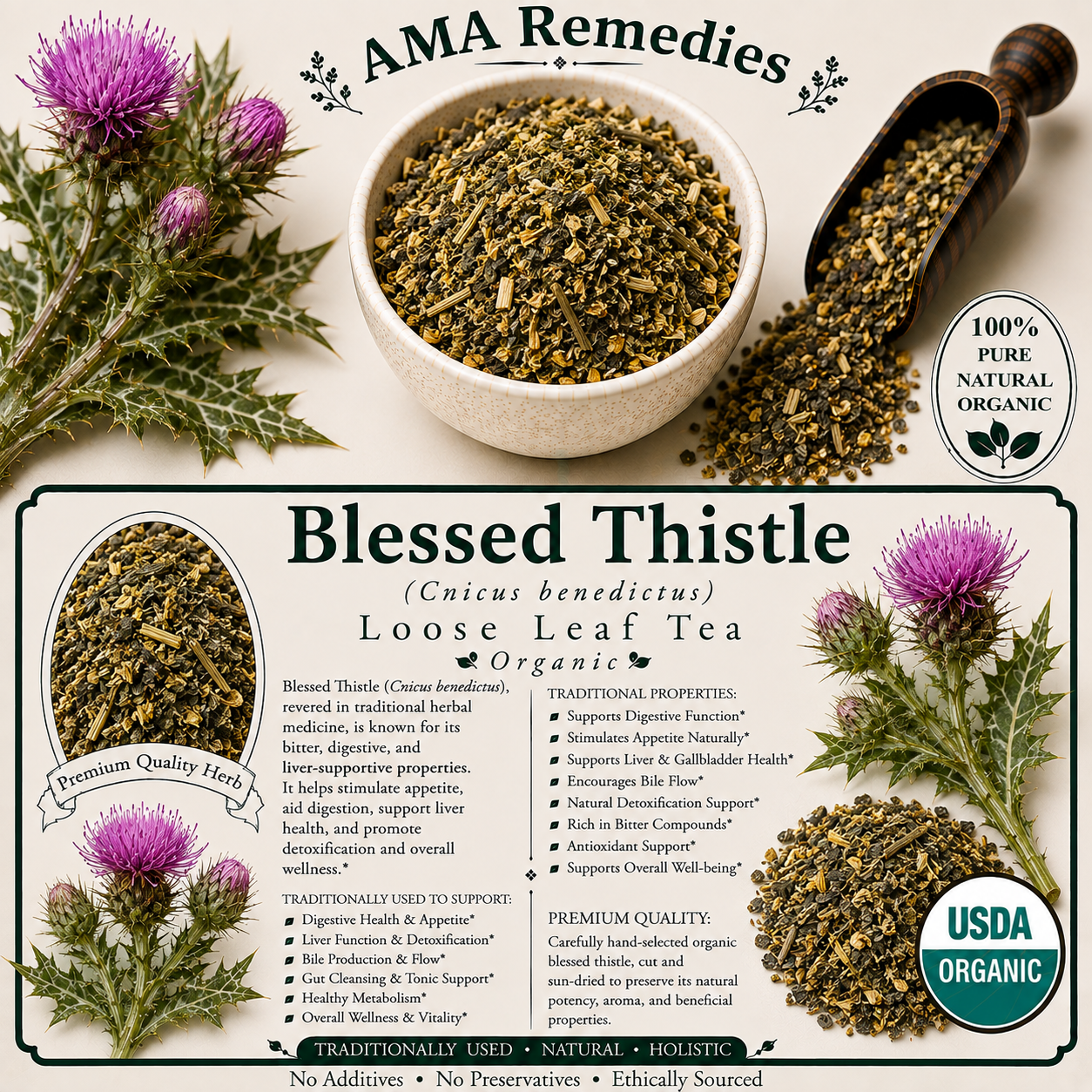 Blessed Thistle (Cnicus benedictus)
