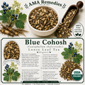 Blue Cohosh (Caulophyllum thalictroides) — Dried Rhizome