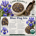 Blue Flag Iris (Iris versicolor) — Dried Rhizome