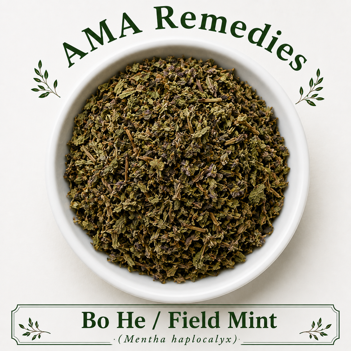 Bo He / Field Mint (Mentha haplocalyx)