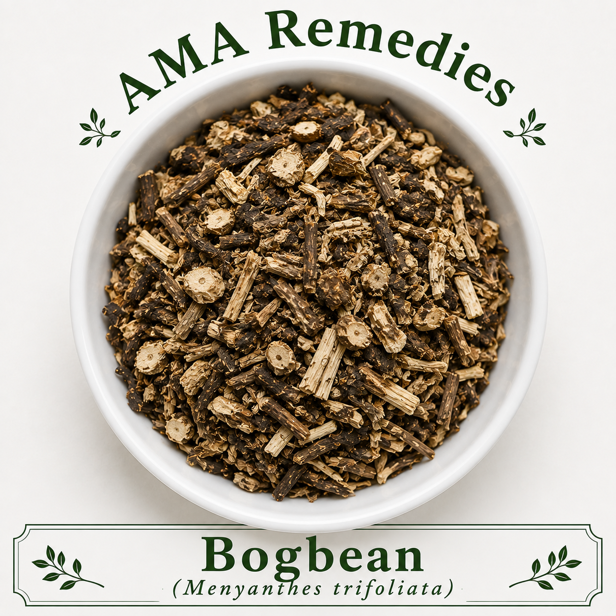 Bogbean (Menyanthes trifoliata)