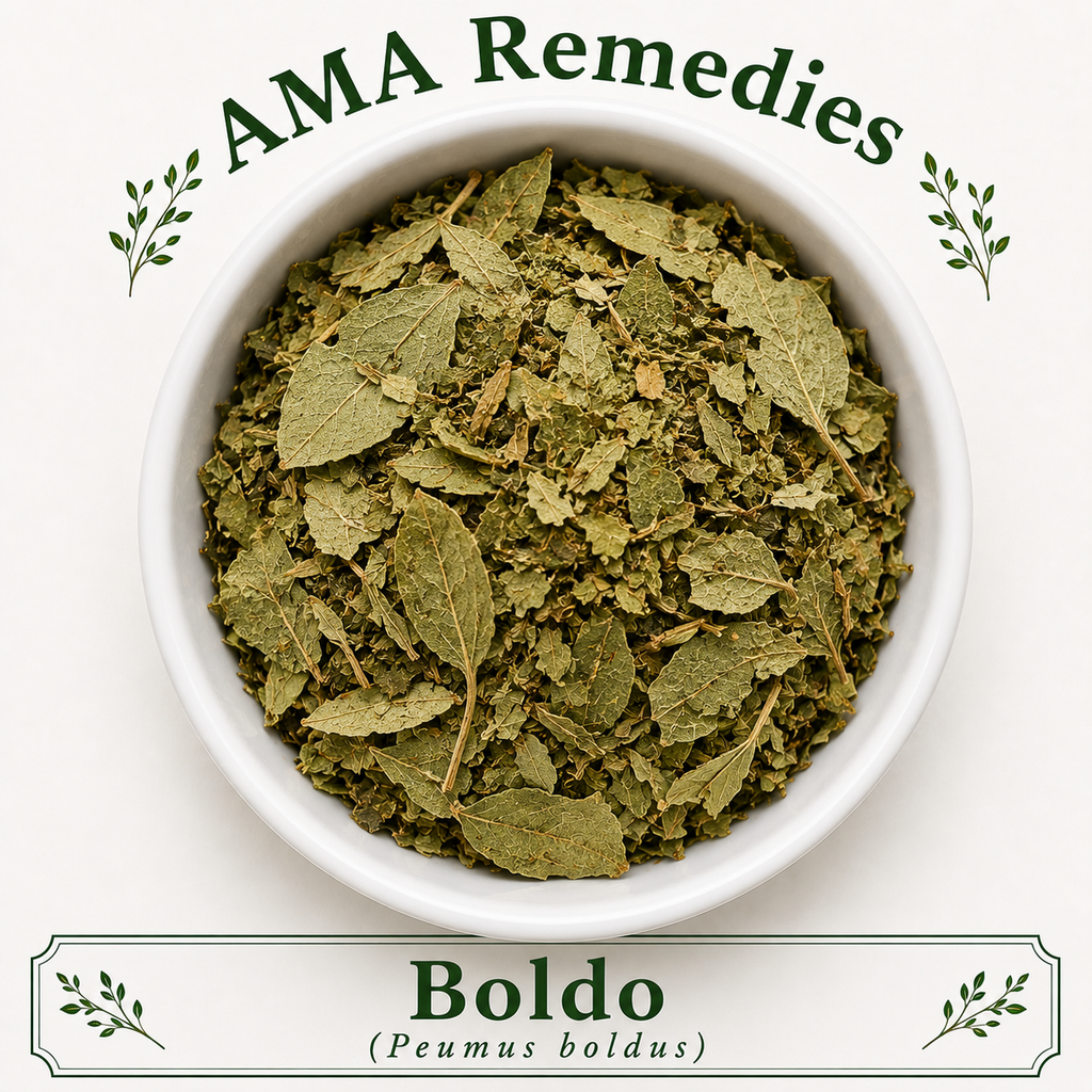Boldo (Peumus boldus)