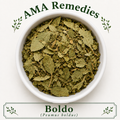 Boldo (Peumus boldus)
