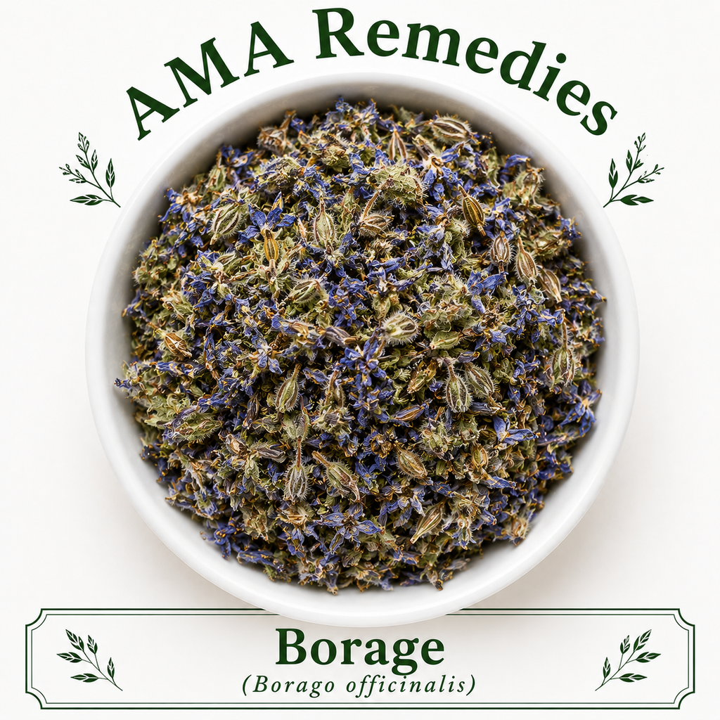 Borage (Borago officinalis)
