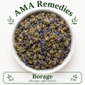 Borage (Borago officinalis)
