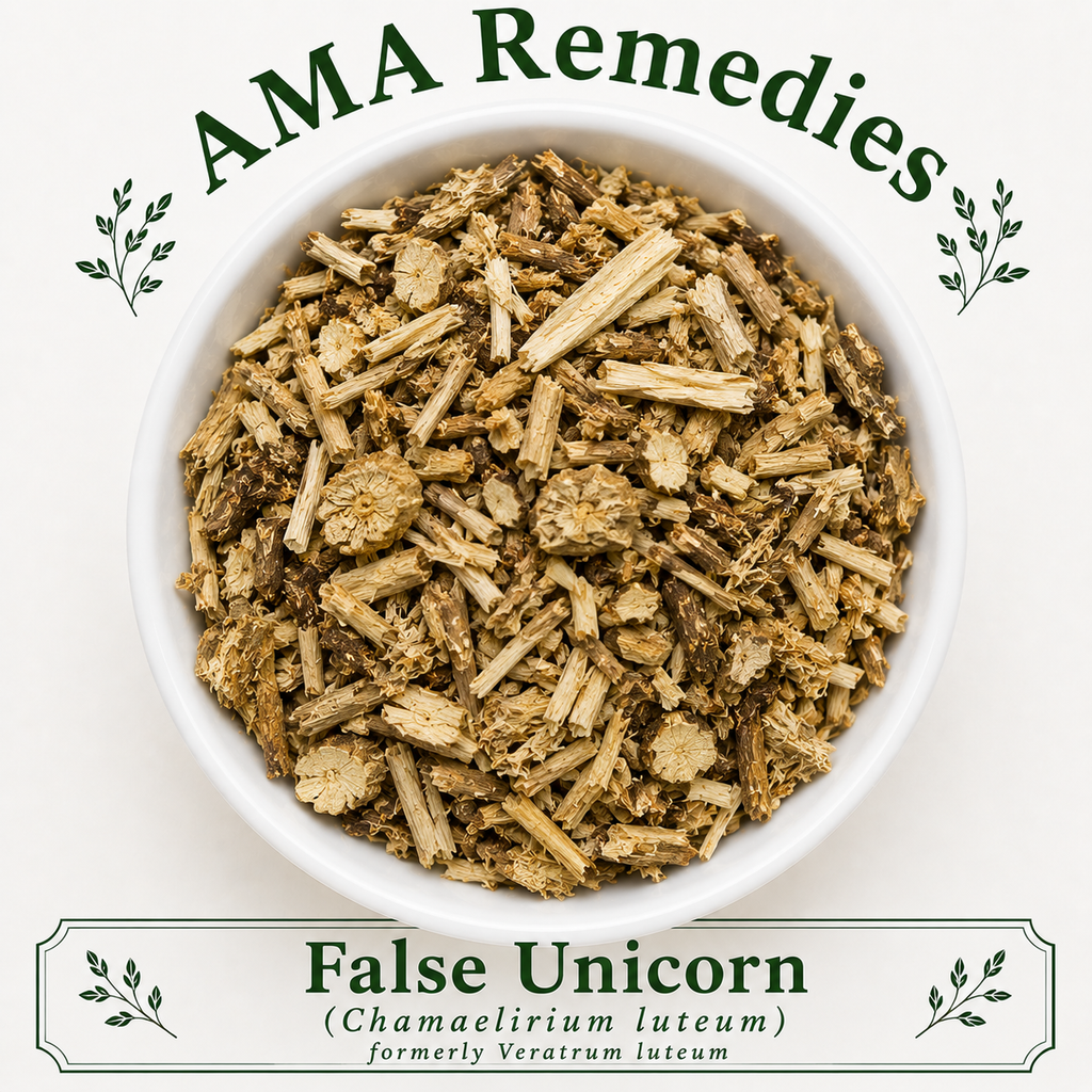 False Unicorn (Chamaelirium luteum)