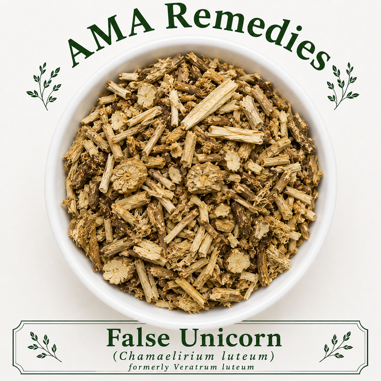 False Unicorn (Chamaelirium luteum)