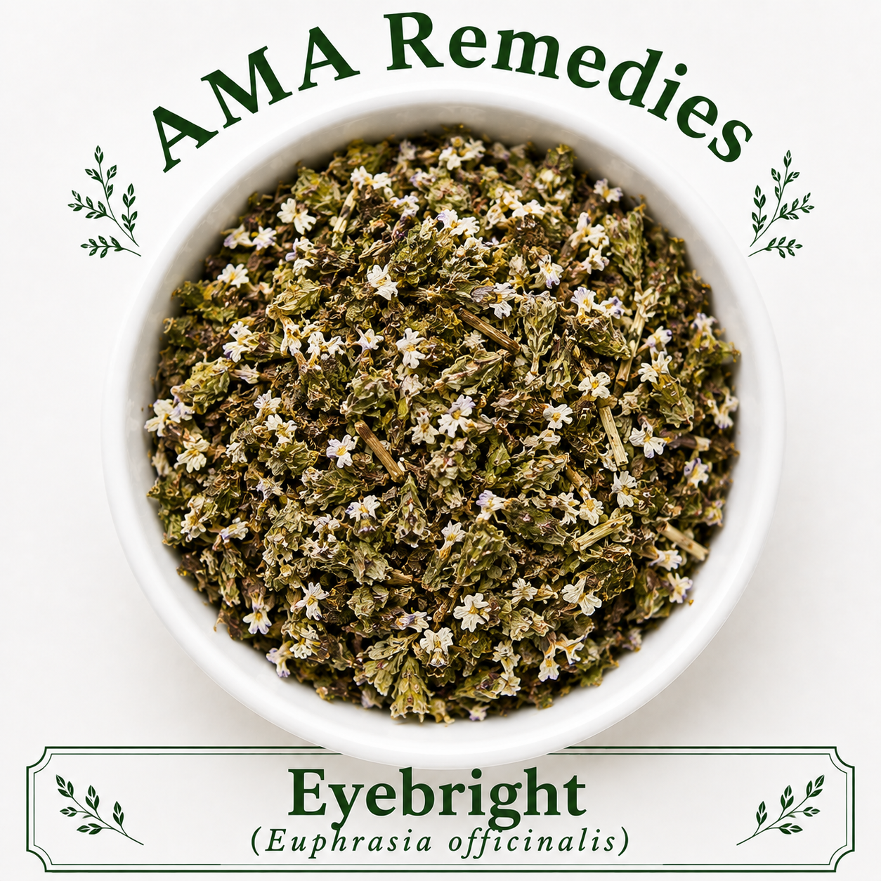 Eyebright (Euphrasia officinalis)
