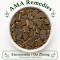 Eucommia / Du Zhong (Eucommia ulmoides)