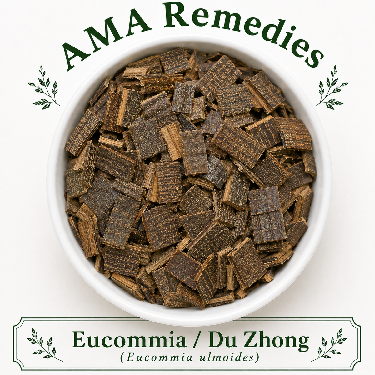 Eucommia / Du Zhong (Eucommia ulmoides)