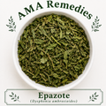 Epazote (Dysphania ambrosioides)