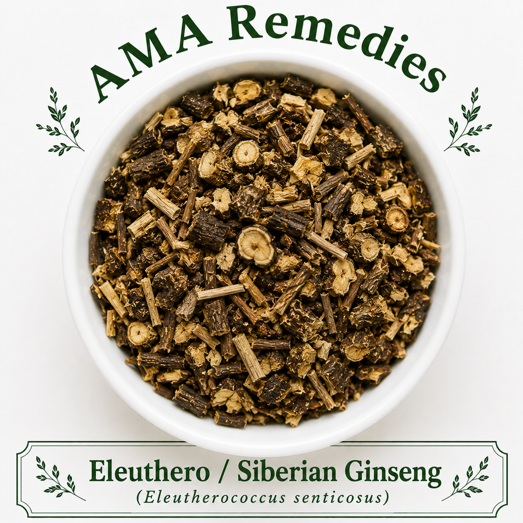 Eleuthero / Siberian Ginseng (Eleutherococcus senticosus)
