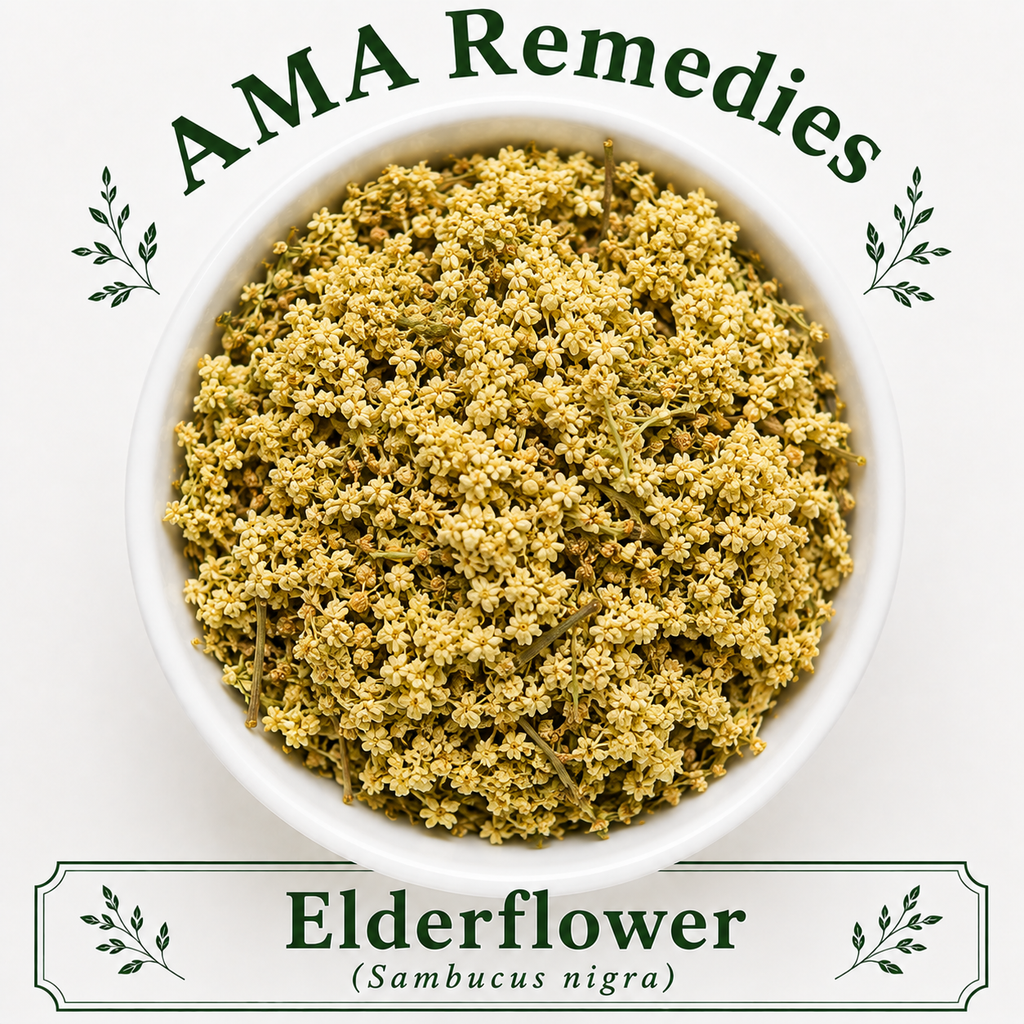 Elderflower (Sambucus nigra)
