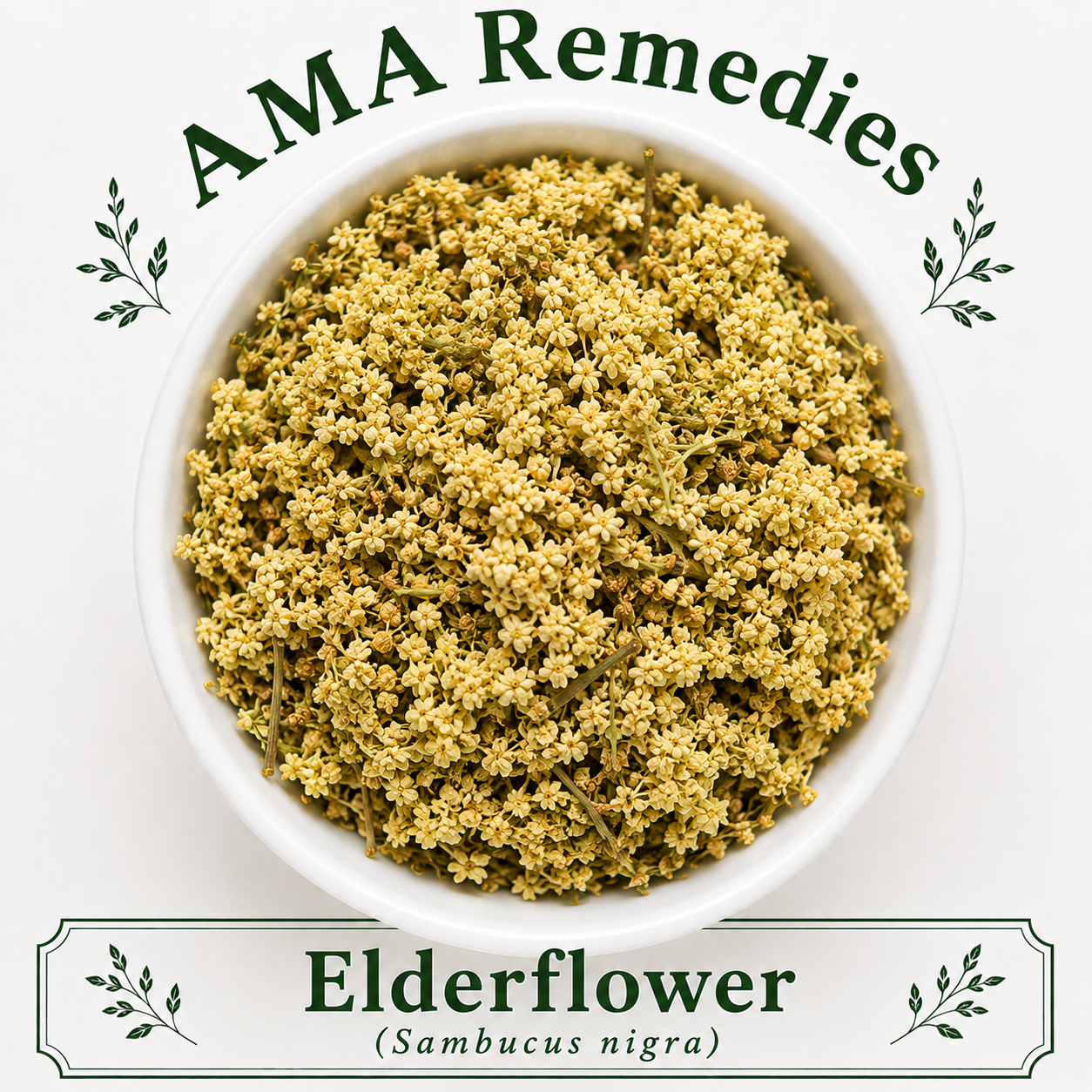 Elderflower (Sambucus nigra)
