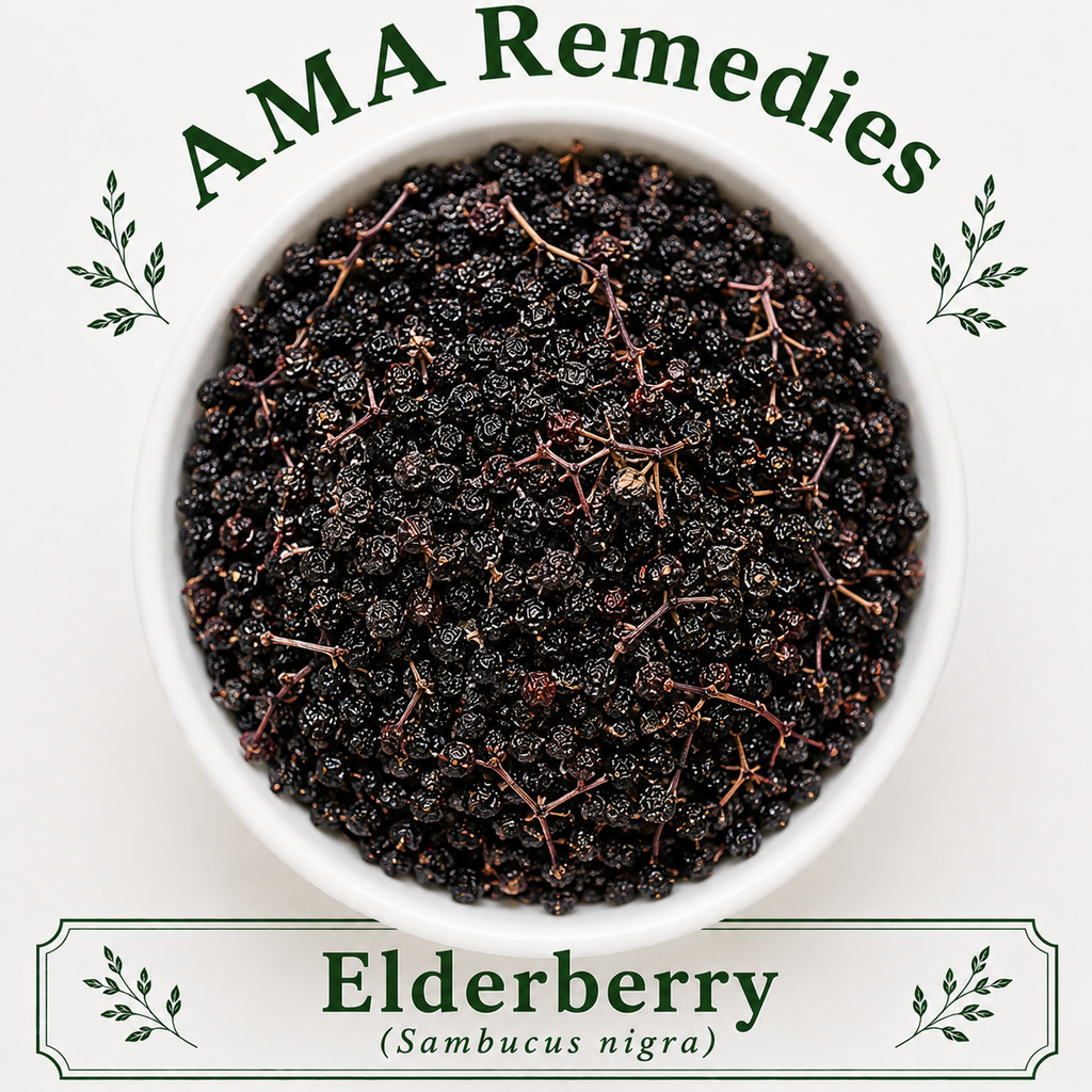 Elderberry (Sambucus nigra)