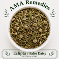 Eclipta / False Daisy (Eclipta alba) — Dried Herb