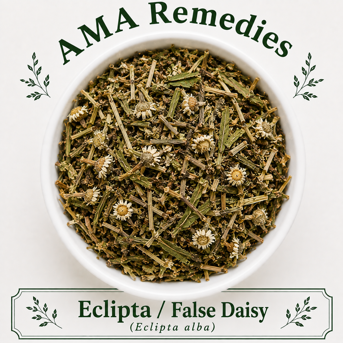 Eclipta / False Daisy (Eclipta alba) — Dried Herb