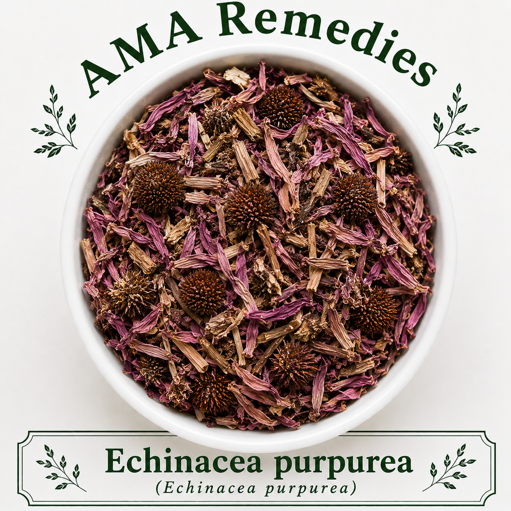 Echinacea purpurea (Echinacea purpurea)