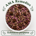 Echinacea purpurea (Echinacea purpurea)