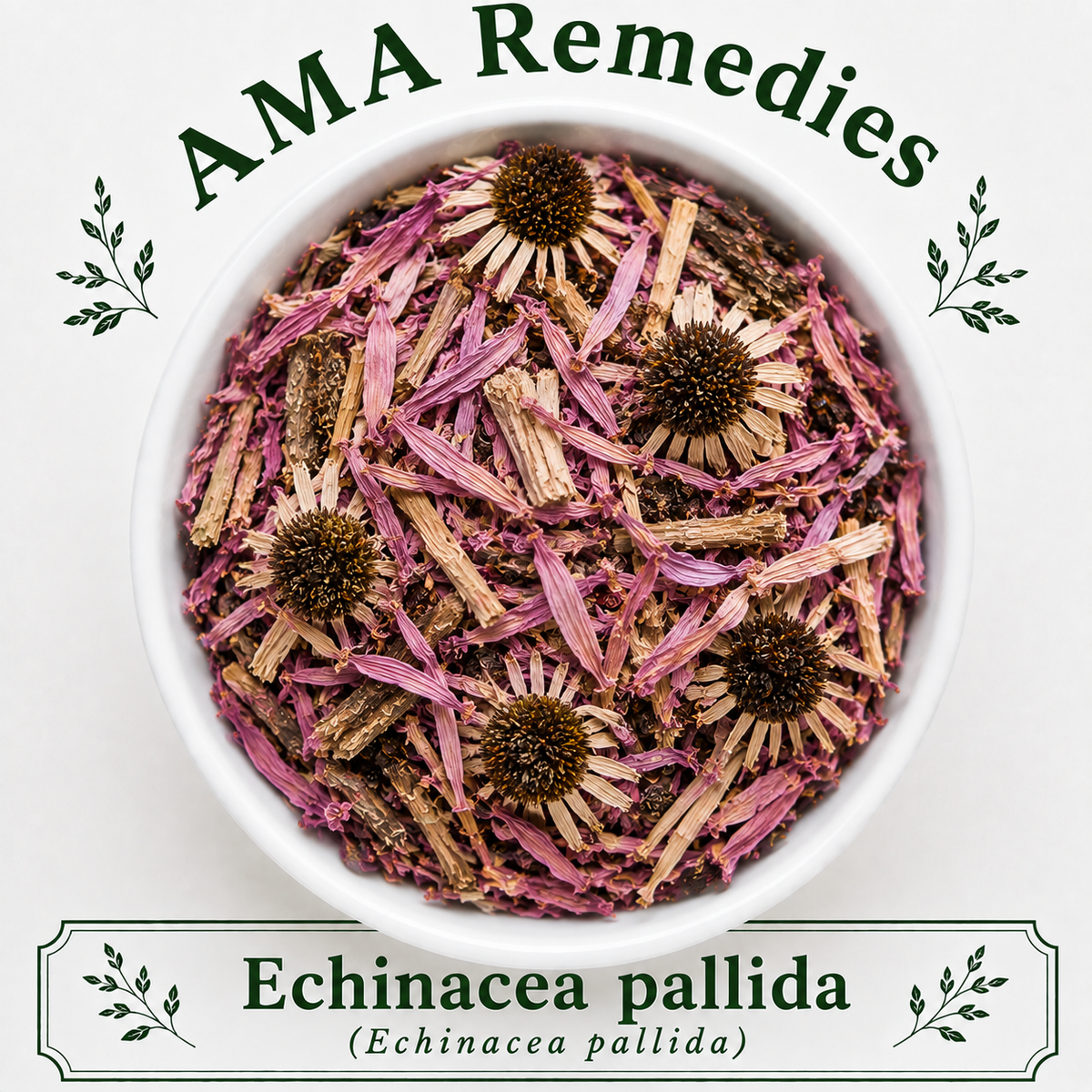 Echinacea pallida (Echinacea pallida) — Dried Root