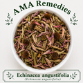 Echinacea angustifolia (Echinacea angustifolia) — Dried Root