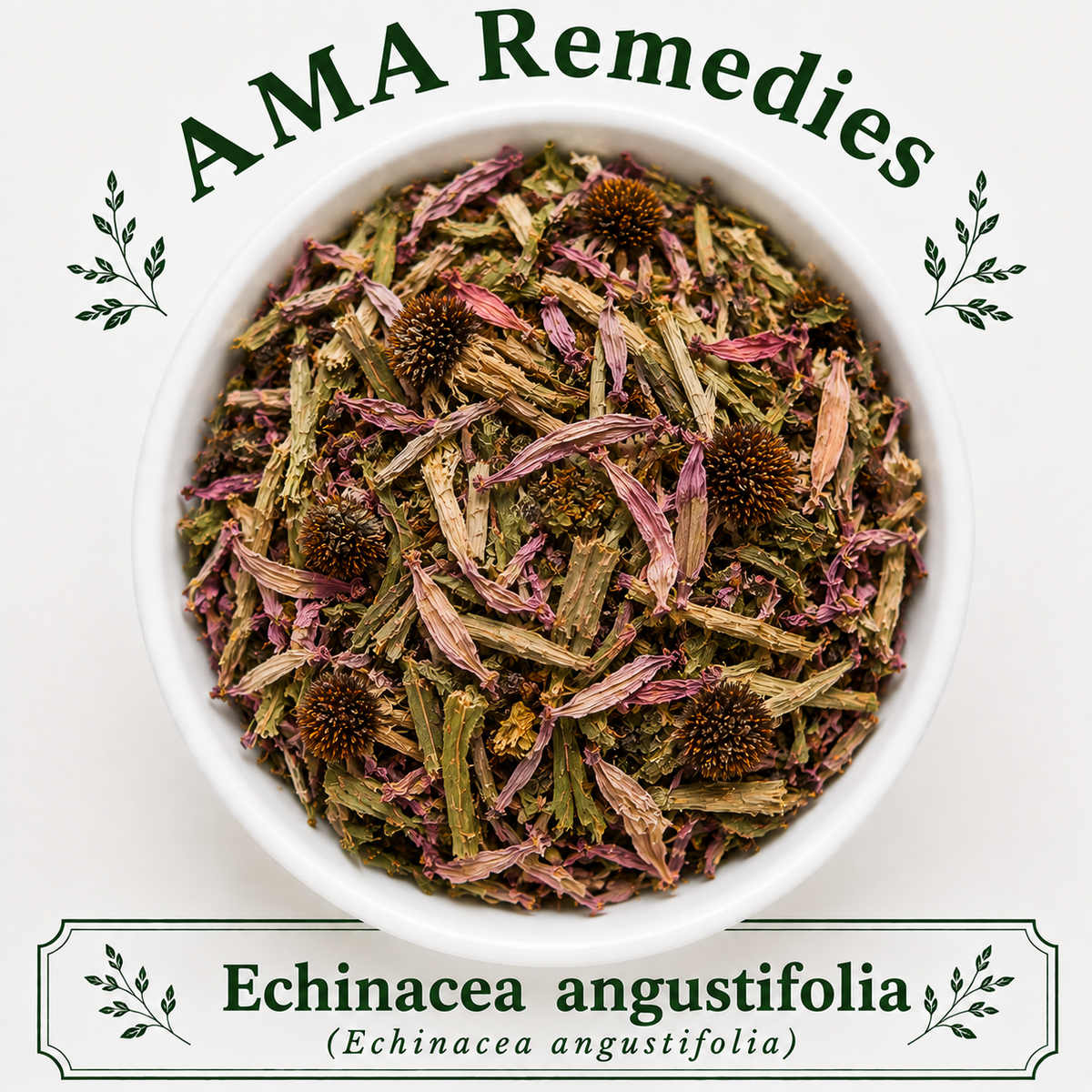 Echinacea angustifolia (Echinacea angustifolia) — Dried Root