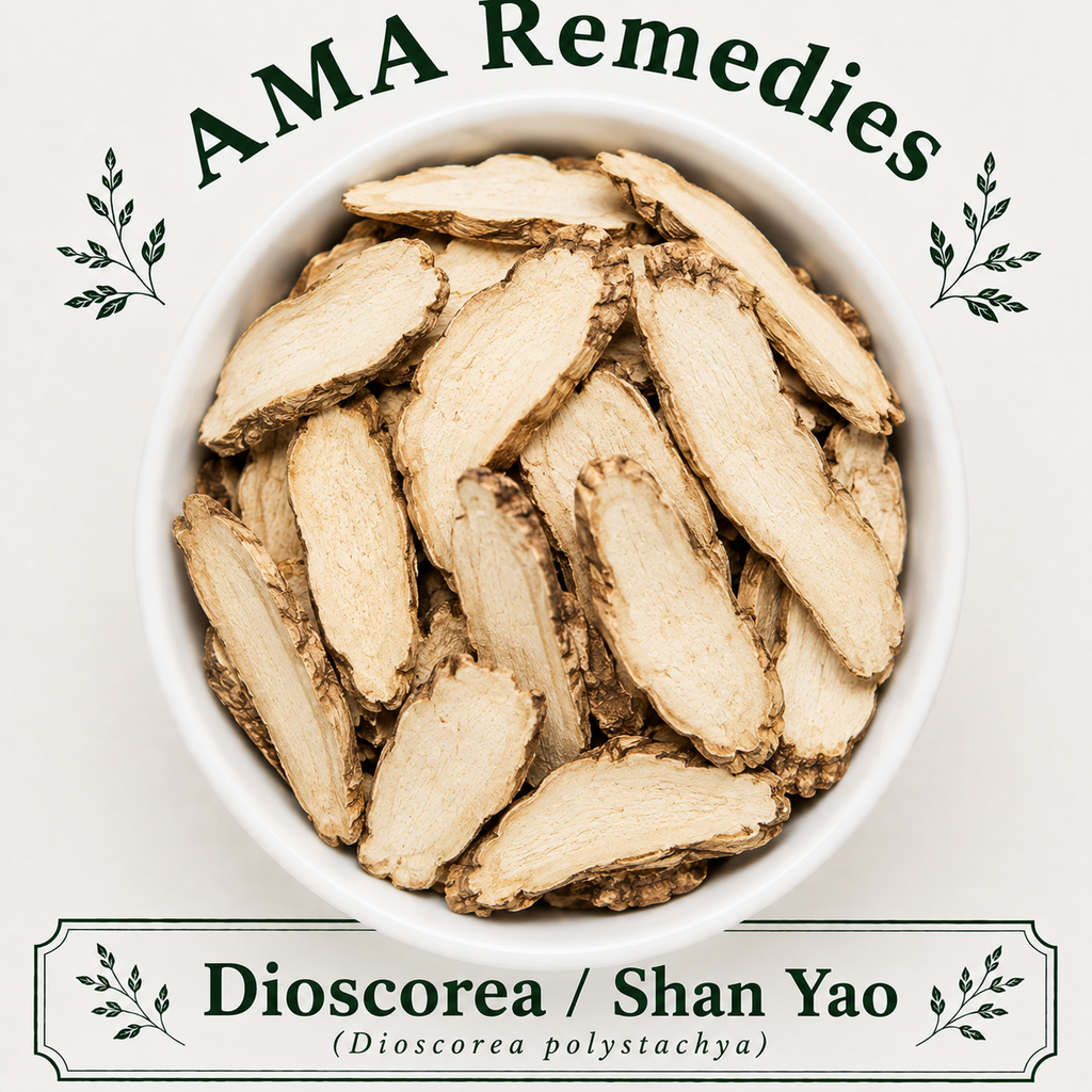 Dioscorea / Shan Yao (Dioscorea polystachya)