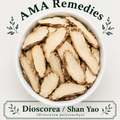 Dioscorea / Shan Yao (Dioscorea polystachya)