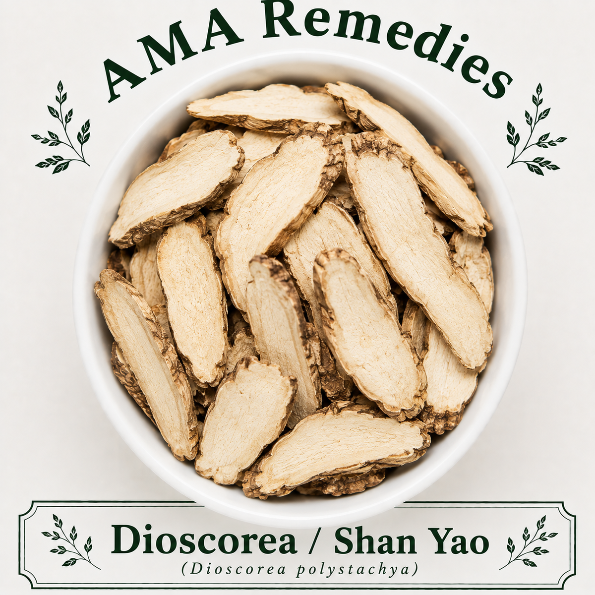 Dioscorea / Shan Yao (Dioscorea polystachya)