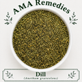 Dill (Anethum graveolens)