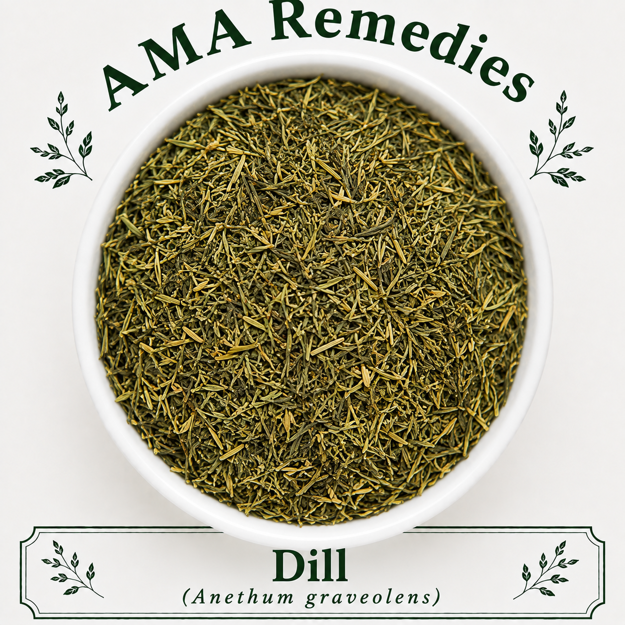 Dill (Anethum graveolens)