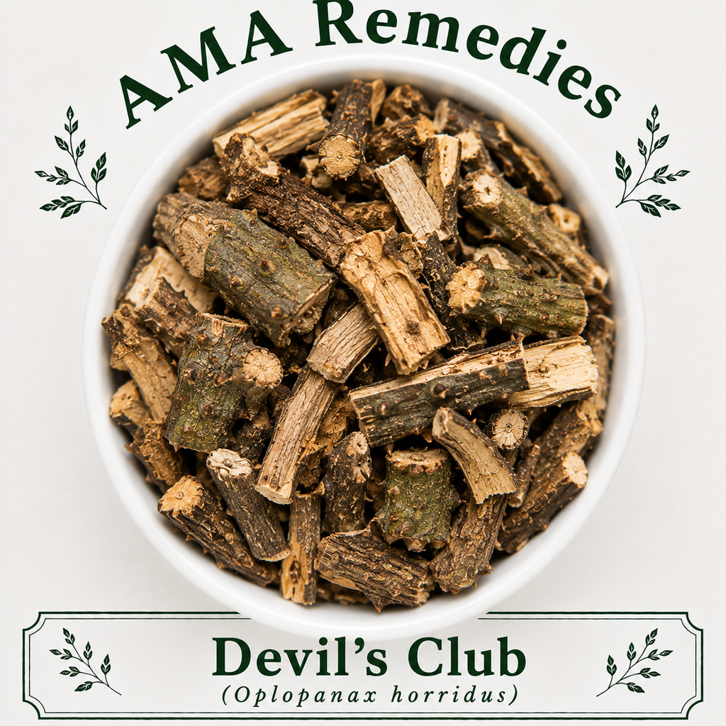 Devil's Club (Oplopanax horridus)