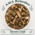 Devil's Club (Oplopanax horridus)