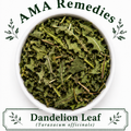 Dandelion Leaf (Taraxacum officinale)