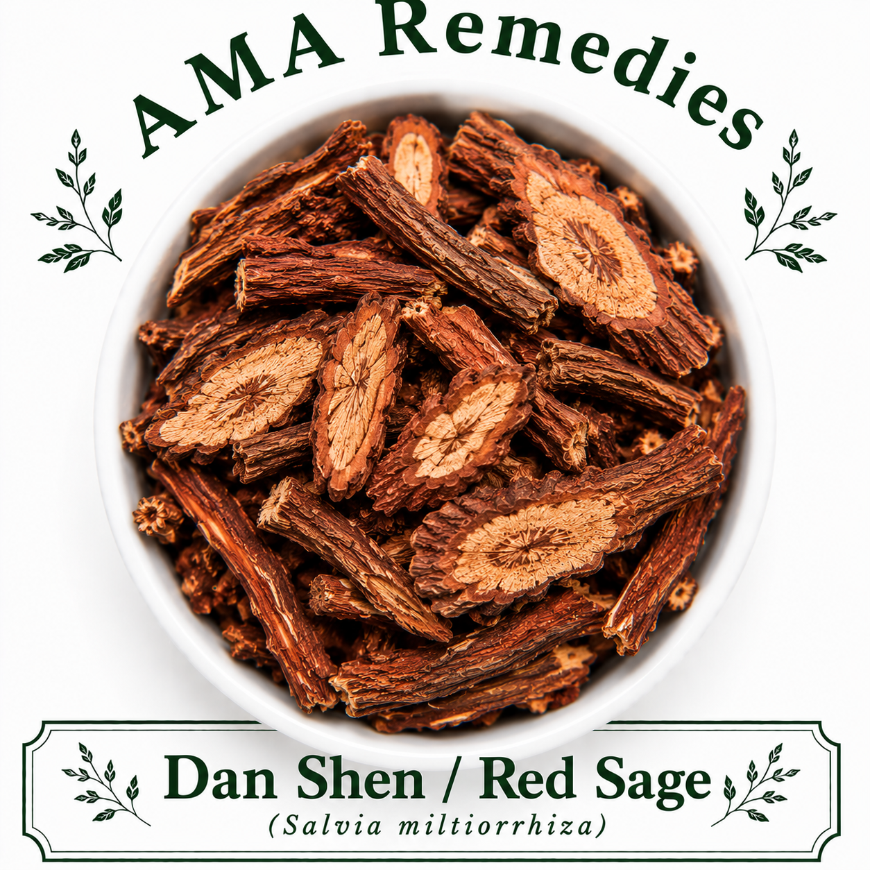Dan Shen / Red Sage (Salvia miltiorrhiza)