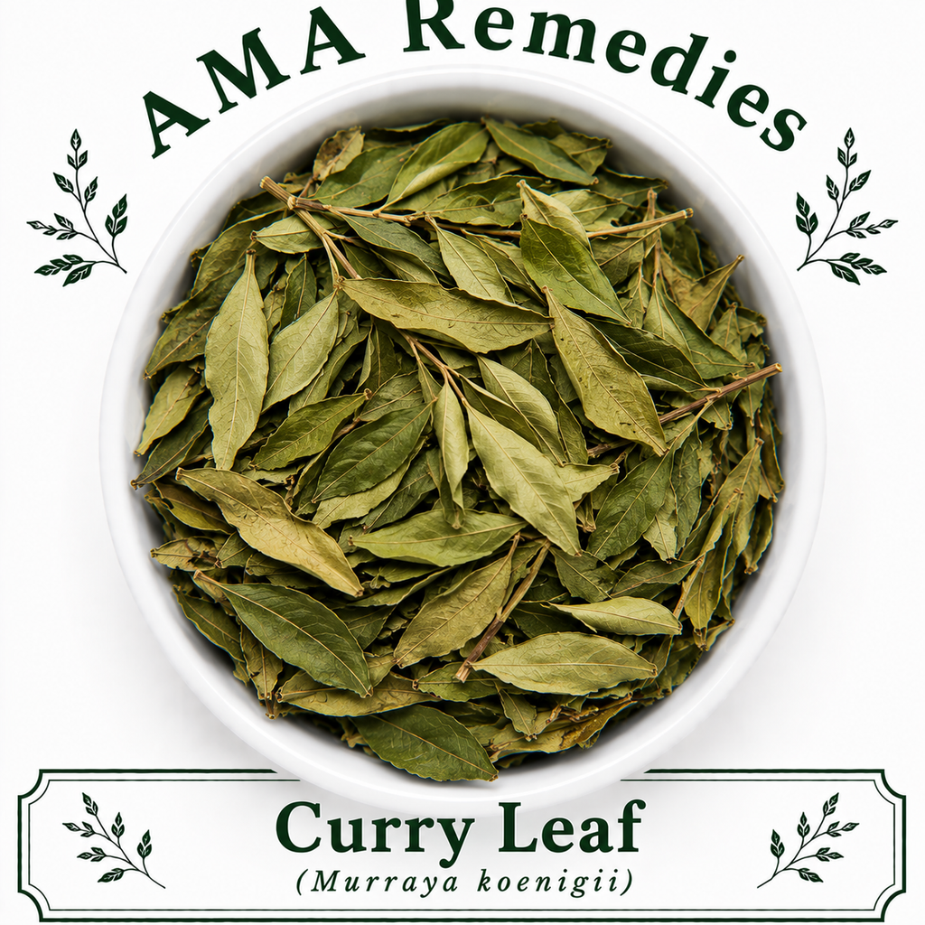 Curry Leaf (Murraya koenigii)