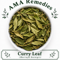 Curry Leaf (Murraya koenigii)