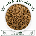Cumin (Cuminum cyminum)