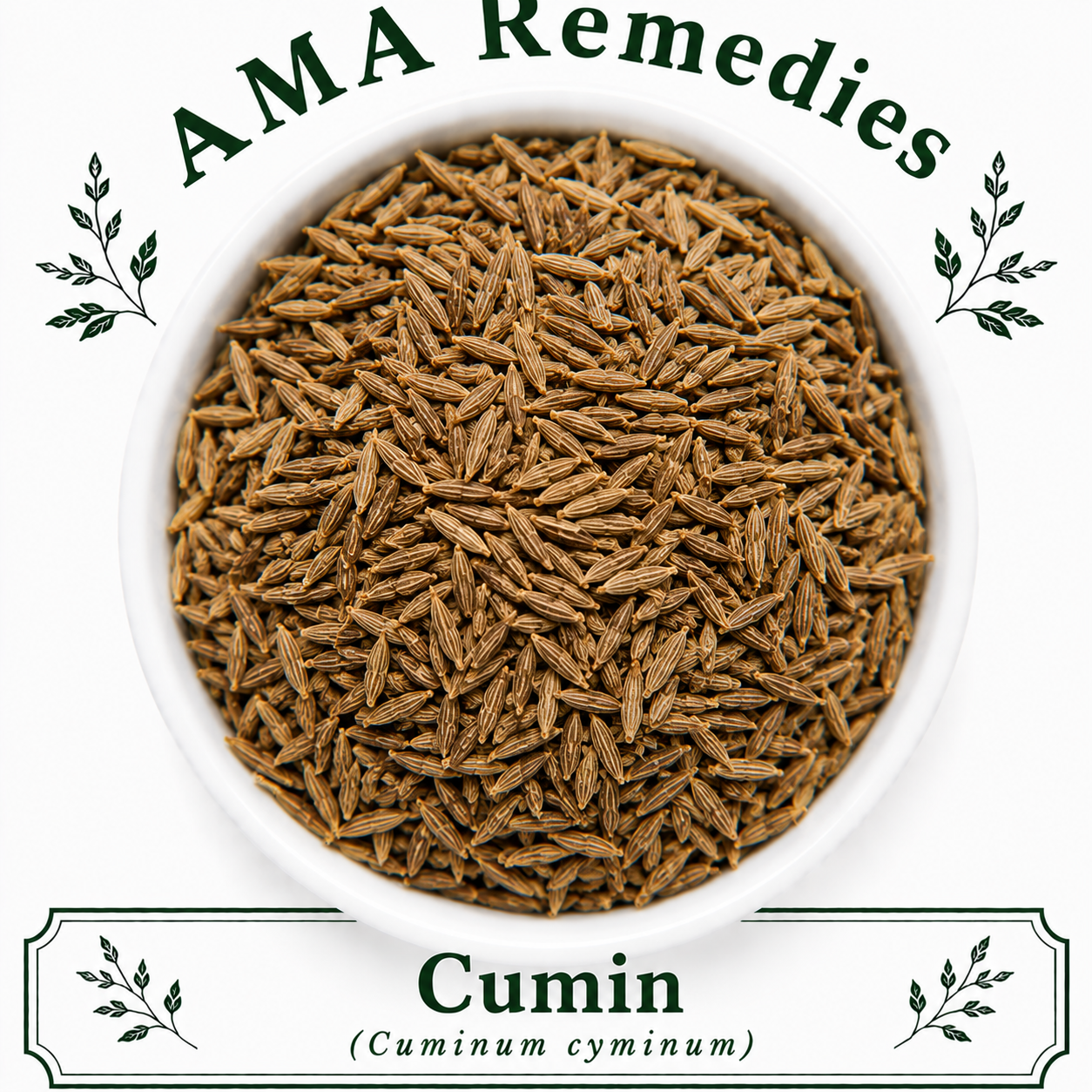 Cumin (Cuminum cyminum)
