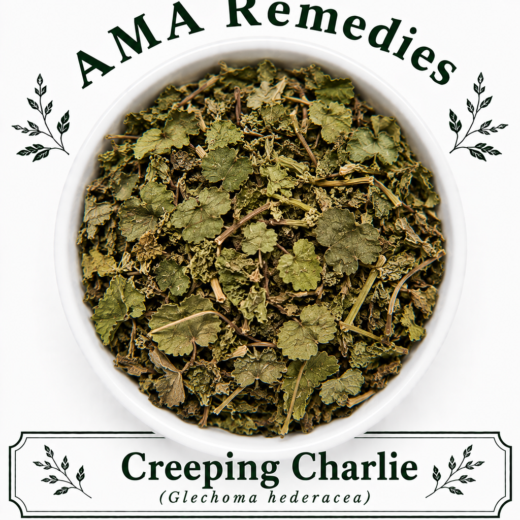 Creeping Charlie (Glechoma hederacea)