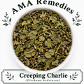 Creeping Charlie (Glechoma hederacea)