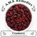 Cranberry (Vaccinium macrocarpon)
