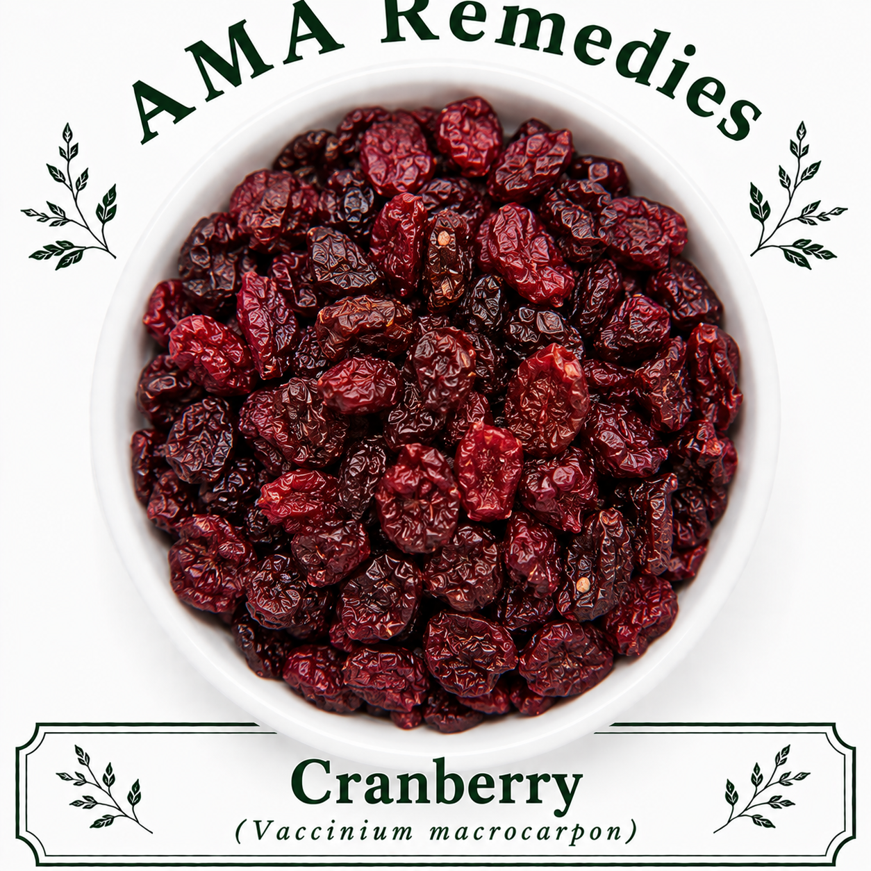 Cranberry (Vaccinium macrocarpon)
